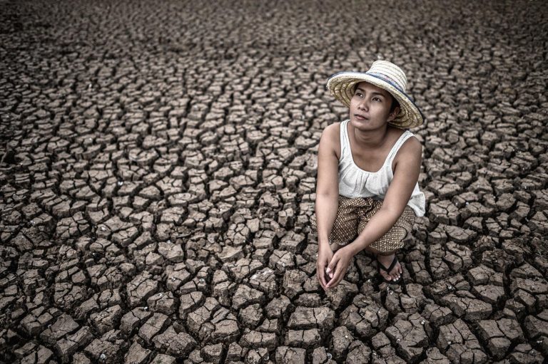 İklim Değişikliğinin Küresel Etkileri