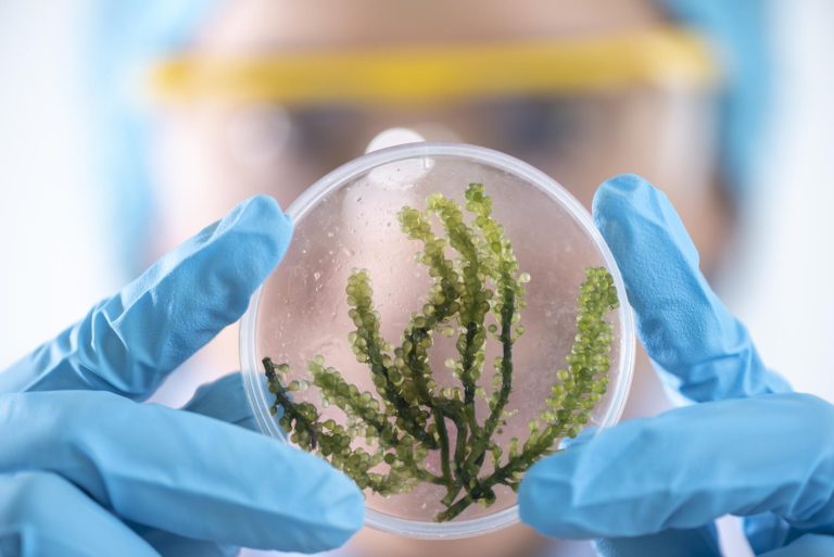 Nanoteknoloji ile Biyofilm Arasındaki İlişki